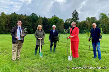 Engagement für mehr Nachhaltigkeit: Stadtsparkasse Augsburg pflanzt Zukunft - TRENDYone - das Lifestylemagazin