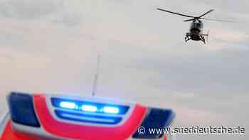 Hermelin verfängt sich in Reifen: Radfahrer stürzt schwer - Süddeutsche Zeitung