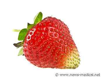 New model can help determine the origin of food in an efficient and low-cost manner - News-Medical.net