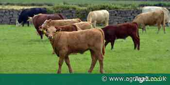 LMC to participate in NI's first Food Strategy Framework consultation - Agriland.co.uk