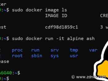 Microsoft makes Windows Subsystem for Linux for Windows 11  a separate app in the Microsoft Store
