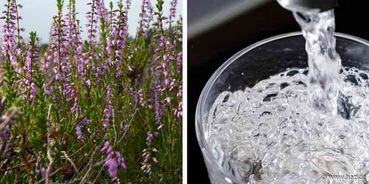 Verwaltungsgericht: Hamburg darf weiter Wasser aus der Lüneburger Heide bekommen - Hannoversche Allgemeine