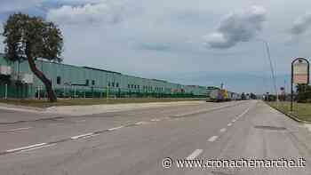 Industriali Ascoli e Fermo : "Sul green pass non si torni indietro" - CronacheMarche