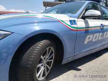 A14, su un camion a Fermo escavatori e muletti rubati in Puglia e Basilicata: moglie e marito nei guai - Telebari