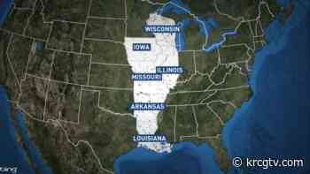 Bruno, the wandering bear, euthanized after being hit by car - krcgtv.com