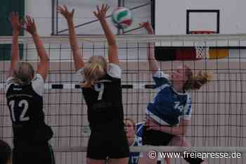 Gute Ausbeute zum Auftakt - Freie Presse