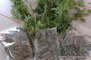 Cannabisfunde in Mittweida - Freie Presse