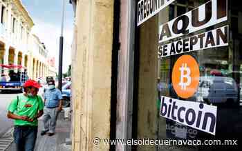 Invertirán ganancias del bitcóin en hospital veterinario - El Sol de Cuernavaca