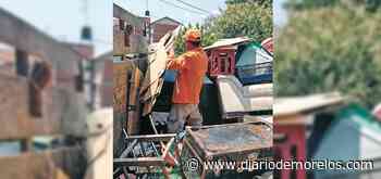 Limpian contra la fauna nociva en Cuernavaca - Diario de Morelos