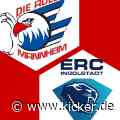 Video | Adler Mannheim - ERC Ingolstadt 4:3 | 11. Spieltag | Deutsche Eishockey-Liga 2021/22 - kicker
