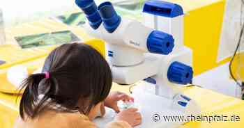 Explore Science: Warten und experimentieren - Mannheim - DIE RHEINPFALZ - Rheinpfalz.de