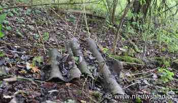Asbest in Wellens speelbosje eindelijk opgeruimd