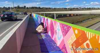 Bridge gets makeover as Calgary cycling groups push to make active transportation an election issue - Globalnews.ca