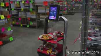Robots may soon be in Rochester restaurants amid worker shortage
