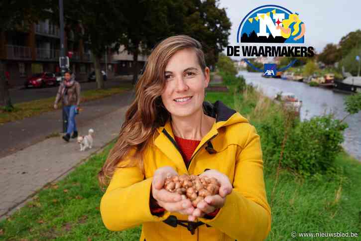 Gents MilieuFront wil 20.000 bloembollen planten: “Einddoel is hele Coupure vol voorjaarsbloemen”