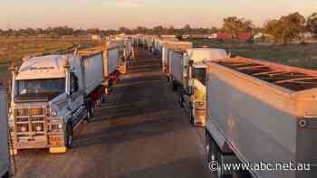 Fines of up to $11,000 for misusing primary producer rego