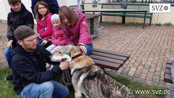 Parchim : Lebenshilfe ermöglicht tierisch gute Herbstferien | svz.de - svz – Schweriner Volkszeitung