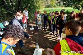 Leerlingen De Driesprong op verkenning in de Molenbeemd - Het Belang van Limburg