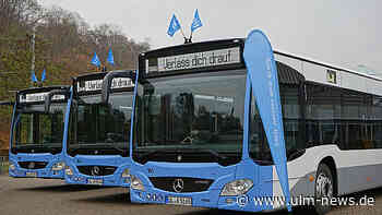 Busse statt Straßenbahn auf den Linien 1 und 2 in den Herbstferien