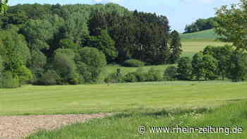 Schüsse bei Schmitt: Nicht alles lief korrekt - Kreis Cochem-Zell - Rhein-Zeitung