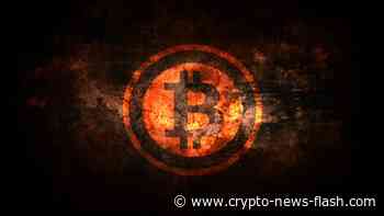 Kraken: Bitcoin wird aufgrund historischen Daten 100.000 Dollar erreichen - Crypto News Flash