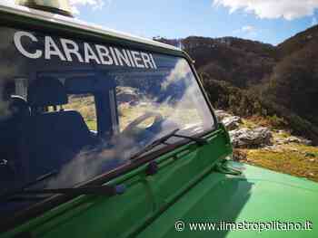 Crotone. Abusivismo edilizio: sequestrata da CC Forestali struttura in cemento realizzata senza autorizzazioni - Ilmetropolitano.it - ilMetropolitano.it