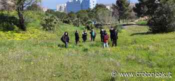 Crotone, gli studenti del "Ciliberto - Lucifero" protagonisti di "Un albero per il Futuro" - CrotoneOK.it
