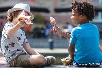 Essen start met reisbureau Rap Op Stap en zoekt acht vrijwilligers om nieuw kantoor te bemannen - Gazet van Antwerpen
