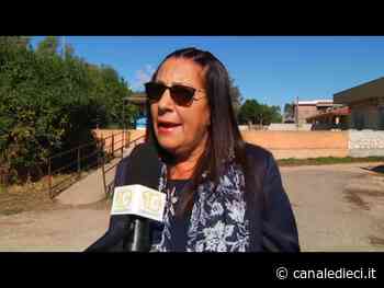 Ardea, genitori sul piede di guerra: chiedono una disinfestazione nella scuola (VIDEO) - Canale Dieci