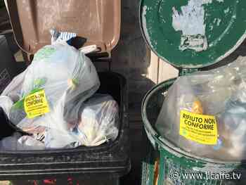 Ardea, 25 multe in un giorno su sole due vie: rifiuti conferiti in modo errato - Il Caffè.tv