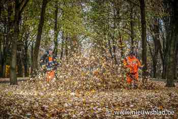 Containers verzamelen herfstbladeren