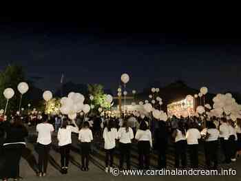 School Of Social Work Hosts Remember Me Walk - Cardinal & Cream