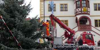 Für die weihnachtliche Dekoration: Der Bauhof Volkach sucht Christbäume von privat – Lokale Nachrichten aus Stadt und Landkreis Schweinfurt - inUNDumSCHWEINFURT_DE