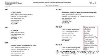 Asterix, Tintin and Lucky Luke keep their skins in Laval - Vaughan Today