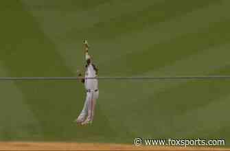 Brandon Crawford makes insane leaping catch to preserve Giants’ 1-0 lead over Dodgers