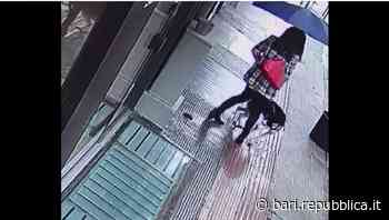 Bari, proprietaria non raccoglie le deiezioni del cane: il sindaco Decaro pubblica il video. "L'eleganza si m… - La Repubblica