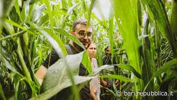 Agricoltura, cosa c'è nei terreni di Bari: la Compagnia del suolo fa tappa in città per incontri e analisi - La Repubblica