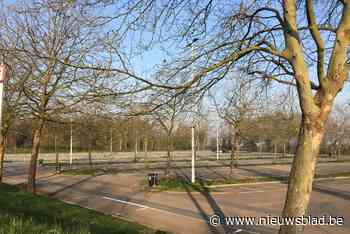 Limburgse carpoolparkings komende weekends afgesloten voor reinigingswerken