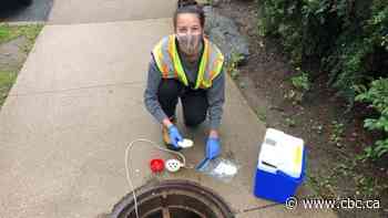 $1 device developed in Halifax that helps detect COVID-19 in sewers drawing global interest