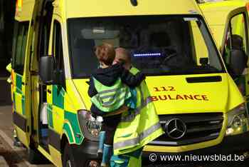 Voor de tweede dag op rij worden kinderen aangevallen door insecten in zelfde bos: brandweer en stad stellen perimeter in