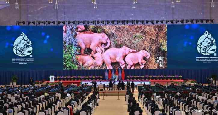 Deutschland will resoluten Kampf gegen Artensterben