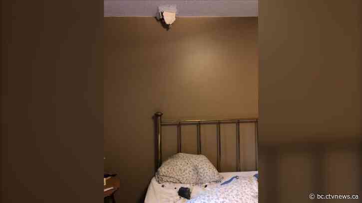'An explosion in the sky': Golden, B.C., woman nearly hit by meteorite after it crashed through her ceiling