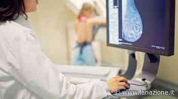 Prato, una giornata di eventi per la lotta contro i tumori - LA NAZIONE