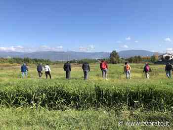 Col metal detector a caccia del meteorite caduto - tvprato.it