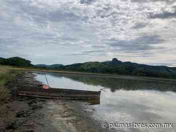 Alarma a pescadores nuevo desecamiento de laguna El Farallón - plumas libres