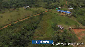 16 municipios fueron entregados como libres de sospecha de mina antipersona - El Tiempo