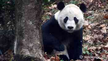 China pledges $290 million to protect nature in developing countries