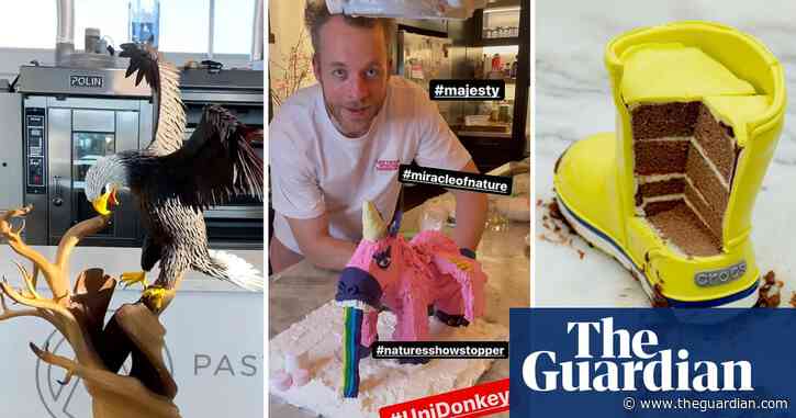 Everything is cake: how increasingly elaborate decorative baking became an online obsession
