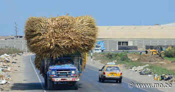 Biobrandstof is niet de oplossing om onze klimaatdoelstellingen te halen - MO