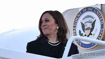 White House says it didn't pick kids in Harris YouTube video